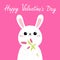 Happy Valentines Day. Cute bunny rabbit hare holding tulip flower bouquet. Kawaii kitty animal. Cartoon funny baby character. Kids