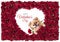 Happy Valentines day Heart shape white in Red Rose beautiful background and Cute puppies Pomeranian Mixed breed Pekingese dog