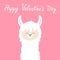 Happy Valentines Day. Llama alpaca animal face head neck. No drama. Cute cartoon funny kawaii smiling character. Childish baby