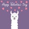 Happy Valentines Day. Llama alpaca animal face looking up to pink hearts. Cute cartoon funny kawaii smiling baby character. Love