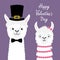 Happy Valentines Day. Llama alpaca animal set. Love couple. Girl Boy. Black hat. Face neck. Fluffy hair fur. Cute cartoon funny