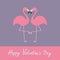 Happy Valentines day. Pink flamingo couple neck heart shape. Exotic tropical bird.