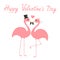 Happy Valentines Day. Two pink flamingo set. Wedding couple. Bride and groom. Black hat, veil, heart. Exotic tropical bird. Cute