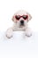 Happy Valentineâ€™s Day dog puppy love heart glasses sign