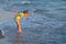 Happy walking child on the sea