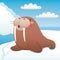 Happy Walrus