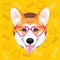 Happy welsh corgi on a yellow background with circles and bones