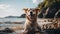 Happy wet dog on beach