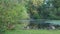 Happy wild goose family during spring by the lake