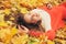 Happy woman autumn portrait, lying in autumn leaves