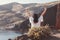 Happy woman on the beach with hands up, sitting on rocks of famous red beach,Santorini, Akrotiri, Greece