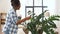 Happy woman cleaning houseplant at home