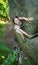 Happy woman climbing on a rocky wall rope, bouldering