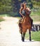 Happy woman, countryside and cowgirl with horse for ride, journey or outdoor adventure in nature. Female person or