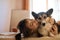 Happy woman with dog in bed at home, hugging funny adorable dog Welsh Corgi with eyes closed.