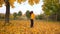 Happy woman enjoy autumn leaves viewing, yellow maple trees