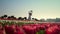 Happy woman enjoying flowers in tulip field. Young woman running in tulips park.