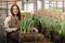 Happy woman farmer carrying box with fresh growing tulips working at industrial greenhouse