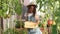 Happy woman farmer in hat dancing with the produce from the tomato garden. Gardener holds wooden box with tomatoes