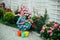 Happy woman gardener with flowers. Greenhouse flowers. Flower care and watering. soils and fertilizers. hydrangea