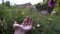 Happy woman hand play catching rain drops on blurred fall background. Pure fresh ecology plant soil crop, rainy spring weather joy