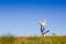 Happy woman in hat jumping in green field against blue sky