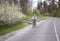 happy woman in a helmet rides a bicycle along an asphalt road through the forest along flowering trees