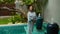 Happy Woman on Idyllic Summer Vacation at Tropical Villa with Swimming Pool