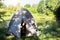 A happy woman in a plaid shirt looks out of a tourist tent on a hike on the riverbank in the morning. Camping in nature, overnight