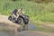 A happy woman riding a quad bike on the river.A girl on a Quad bike riding on the beach