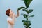 Happy woman with short ginger hair sprinkling leaves of a big ficus plant
