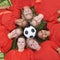 Happy woman, soccer ball and face of team above for unity, collaboration or synergy lying on green grass. Top view or