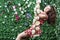 Happy woman swings on swing overgrown with flowers