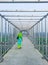 Happy woman tourist walking and admiring the unique interior of the over the bridge. Women on the pedestrian bridge. Back view