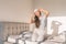 Happy woman waking up early morning from comfortable foam latex mattress bed healthy sleep in luxury bedroom enjoying