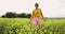 Happy woman walking in a field with yellow flowers. Beautiful carefree woman enjoying nature in blooming field