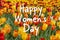 Happy Women`s Day text on red yellow tulips. Greeting poster card, spring women`s holiday