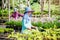 Happy worker asian woman with planting flowers taking care of flowers in greenhouse