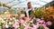 Happy worker growing flowers in a greenhouse of a flower shop