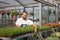 Happy worker growing flowers in a greenhouse of a flower shop