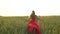 Happy young beautiful woman in red dress arms raised running on wheat field in sunset summer, Freedom health happiness