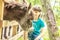 Happy young boy feeding donkey on farm