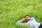 Happy young business man lying on the green grass. Talking on the telephone