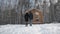 Happy young couple standing near wooden cottage. Stock. Couple stands near the house in the forest in winter