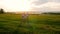 Happy young family with two children running on summer field. Healthy mother, father and little children enjoying nature