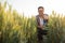 Happy young farmer crouching in a wheat field, inspecting plant development