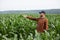 Happy young farmer points to a field of green corn. Organic agriculture