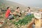 Happy young friends working together harvesting fresh fruits and vegetables in farm garden house