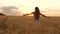 Happy young girl runs in slow motion across field, touching ears of wheat with her hand. Beautiful free woman enjoying