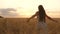 Happy young girl runs in slow motion across field, touching ears of wheat with her hand. Beautiful free woman enjoying